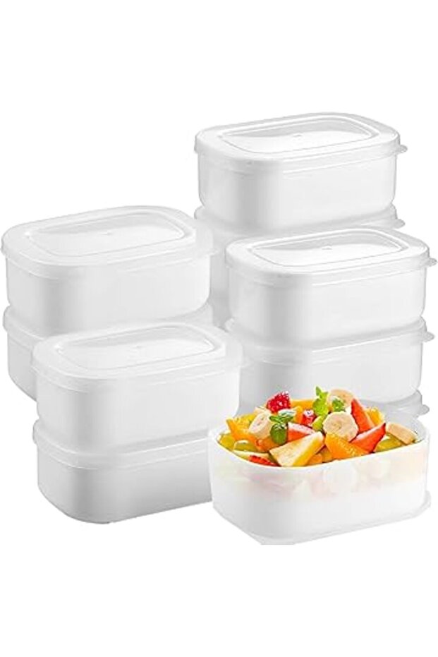 10 Mini Freezer Containers Lids Reusble Rectngle Food Trys Freezing And Storing Mels