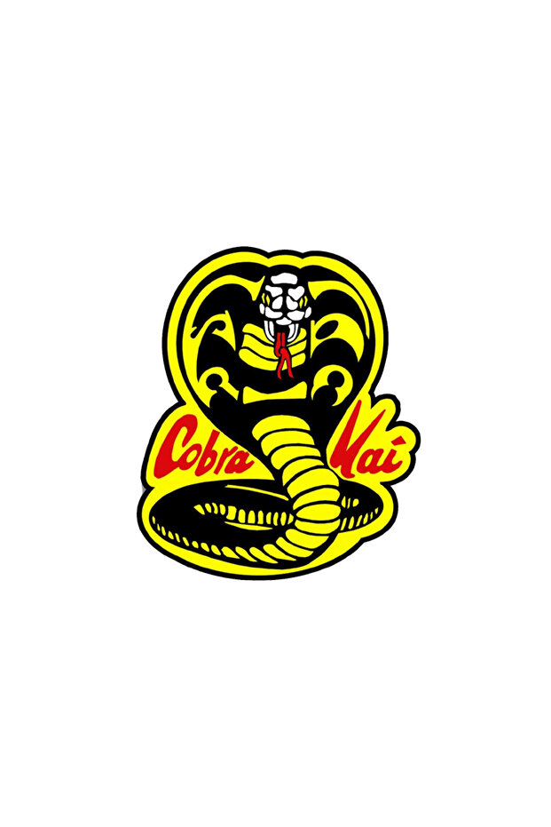 كوبرا كاي - 3