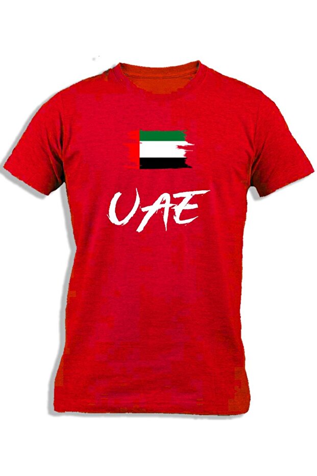 UAE PAINTED FLAG