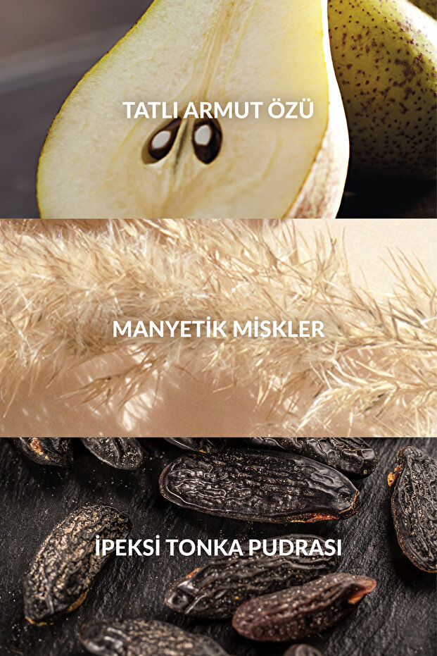 Attraction Kadın Hediye Seti - 3