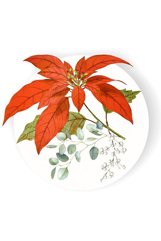 SUPLA SERVİSİ 12377 - 2