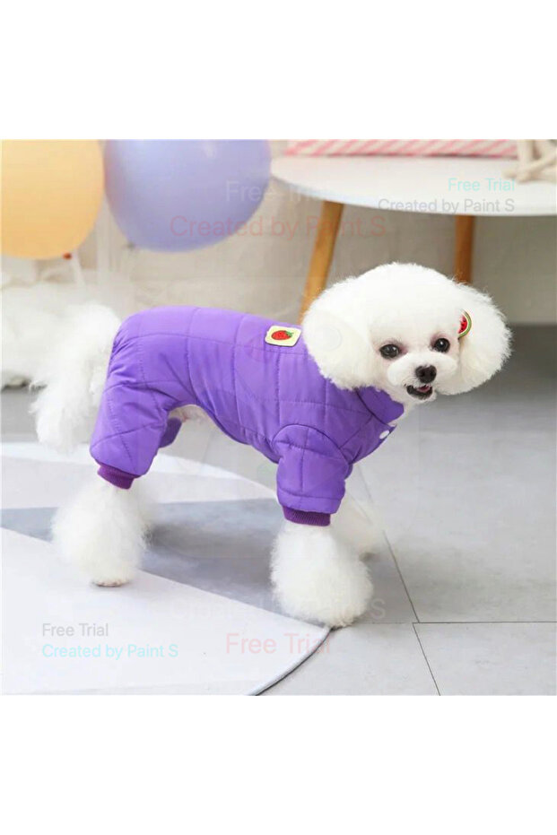 Puppy jacket - 1