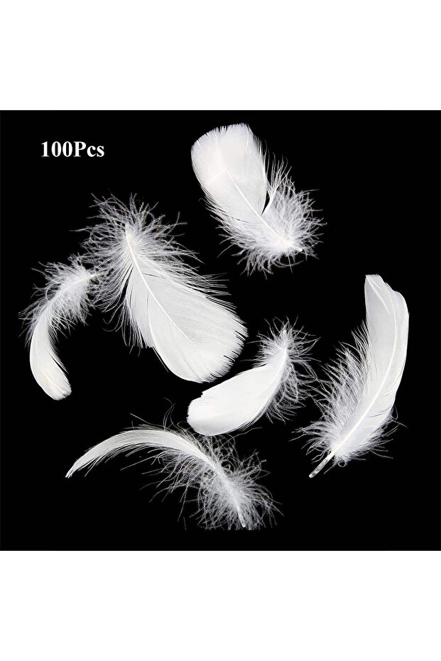 100Pcs 100Pcs White Feather Goose Feathers for Crafts DIY Wedding Party Halloween Decoration Goose N