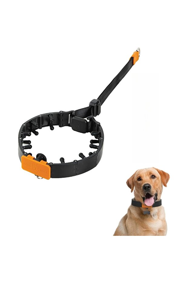 L black Effective Dog Prong Collar for No-Pull Training Quick-Release Buckle Adjustable Pinch Collar