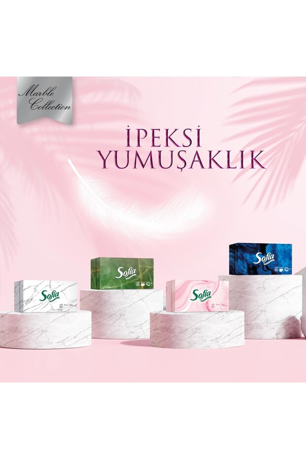 Kutu Mendil 100 Yaprak 24 Paket - 3