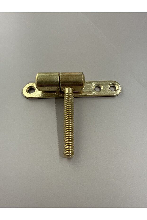 Kapı Menteşe Vidalı - 2