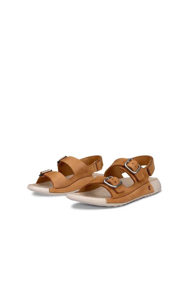 Aslan'daki Cozmo - 3