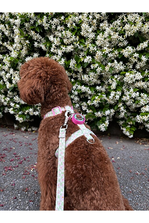 Doodle Gezdirme İpi - 1