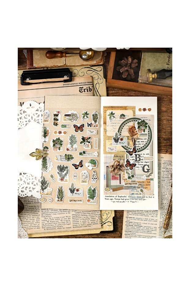 Autocolant cu fluture E4-1 - Număr: 1 - 2