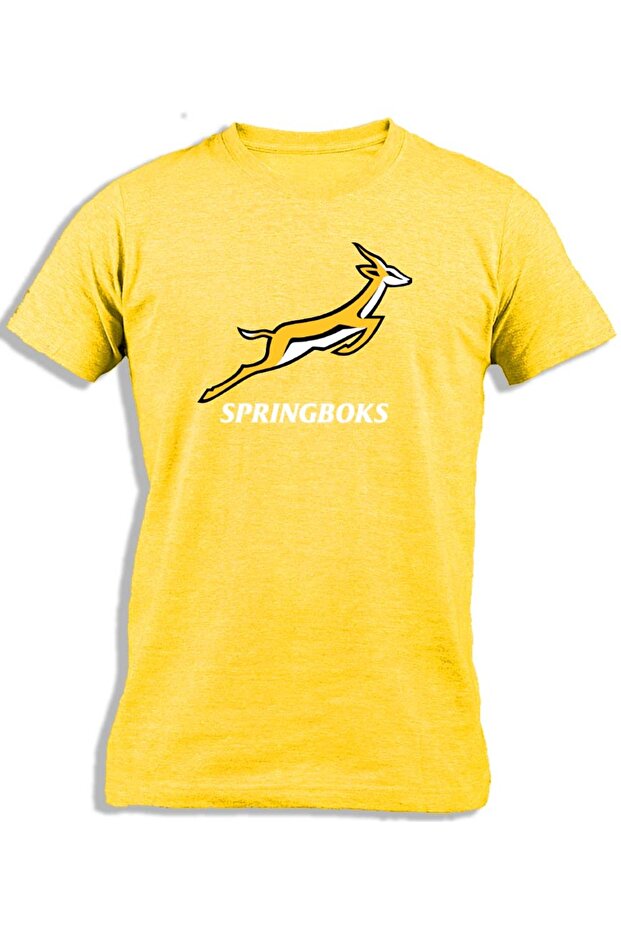 سبرينجبوكس - 1