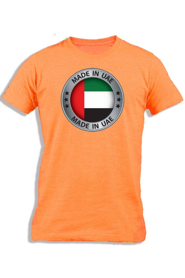 إطار فضي من الإمارات العربية المتحدة - 1