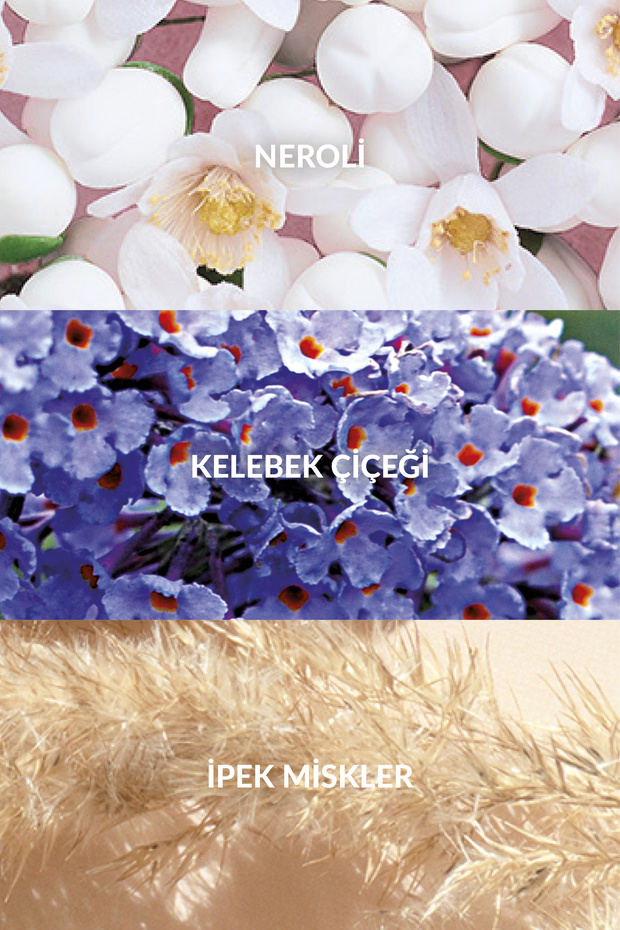 TTA Today Kadın EDP 30ml - 3