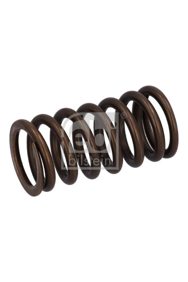 Daf Cf 85 Valve Spring - 1