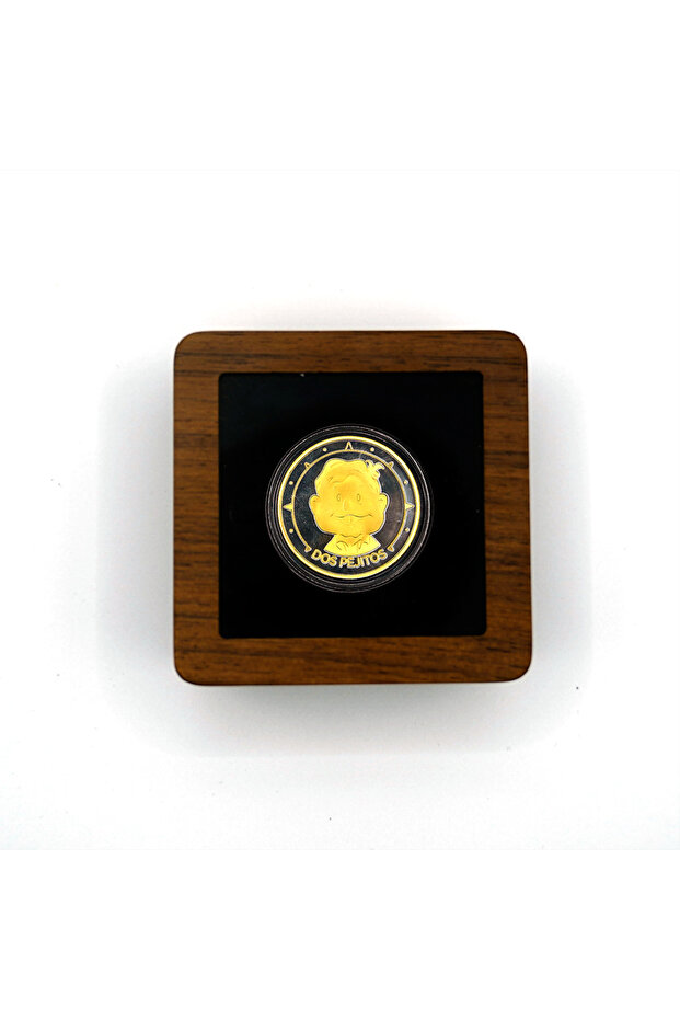 A Walnut Wood Commemorative Coin Badge Box Gift Box Silver Coin Badge Ancient Coin Collection Box G.