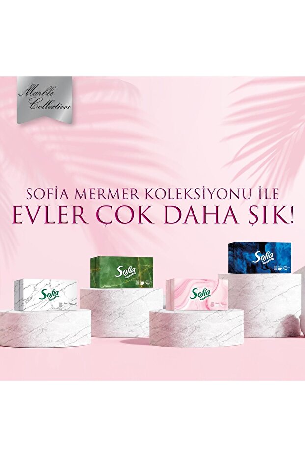 Kutu Mendil 100 Yaprak 24 Paket - 5