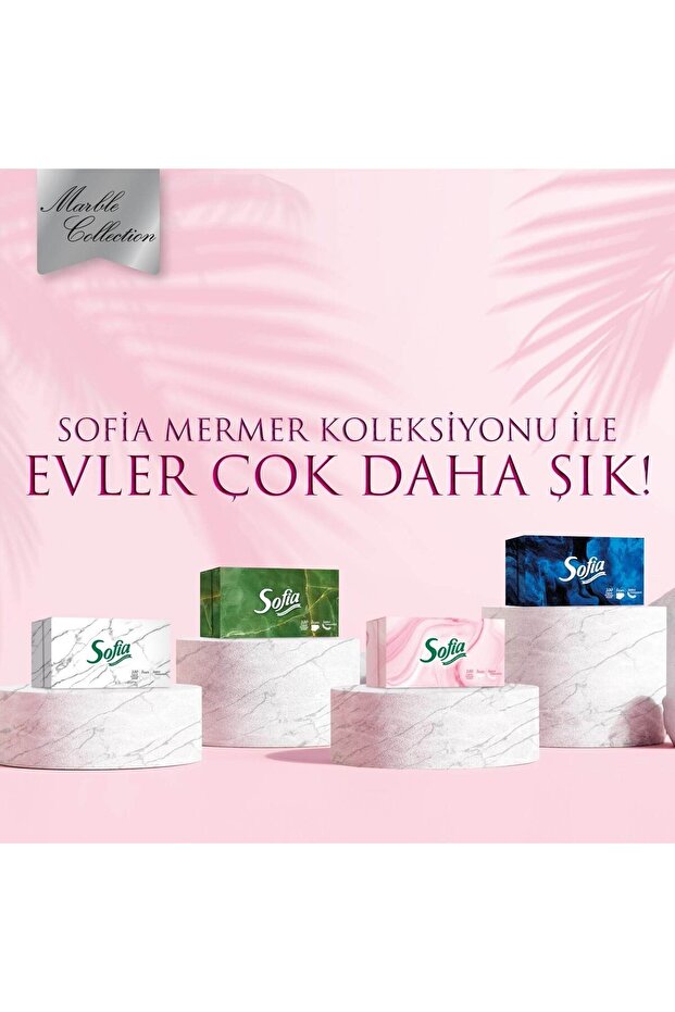 Kutu Mendil 100 Yaprak x 24 - 5