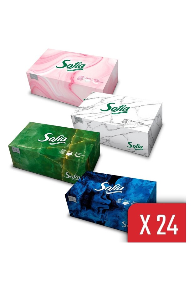 Kutu Mendil 100 Yaprak 24 Paket - 1