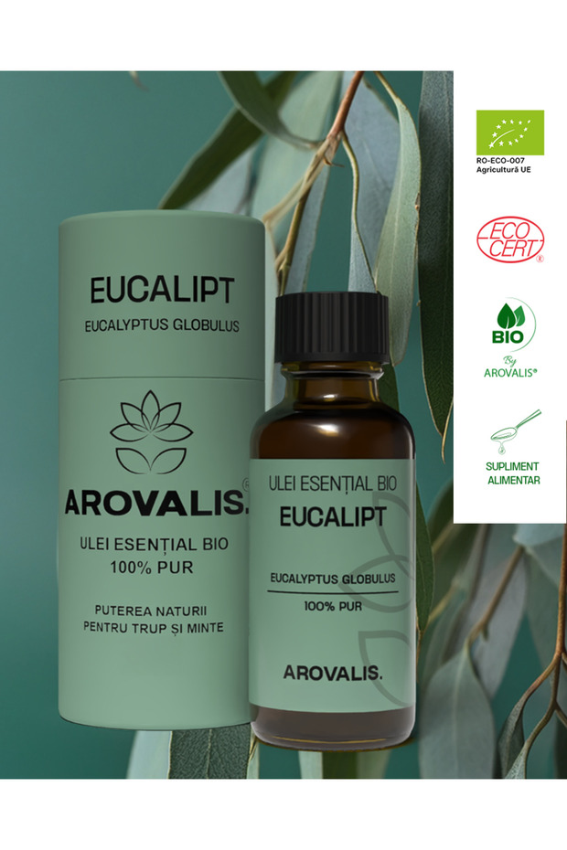 ULEI ESENȚIAL BIO DE EUCALIPT (Eucalyptus globulus) 100% PUR - 3