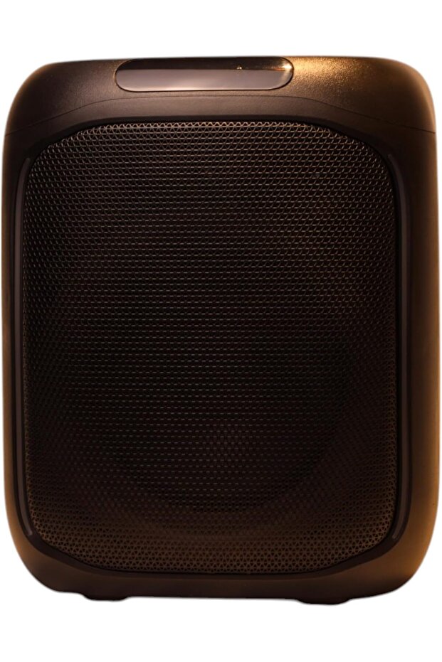 PORTABLE SPEAKER 40W - 5