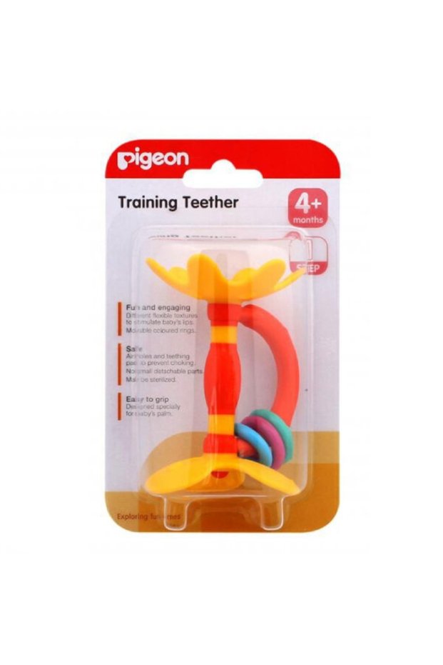 Pigeon teether training stage 1