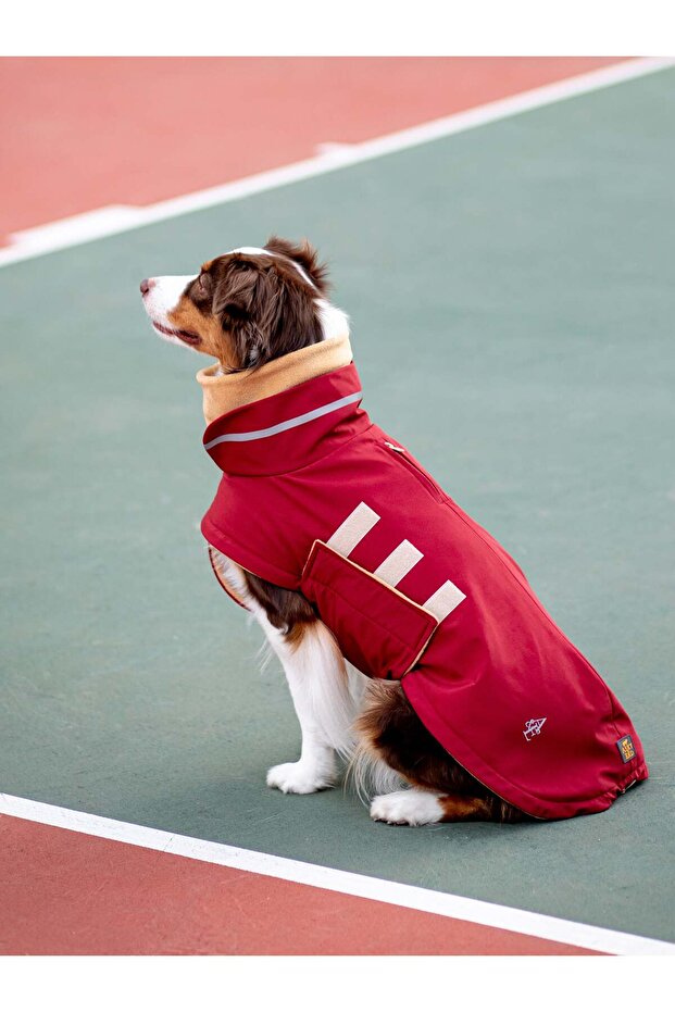 Extreme Wheather Coat | Maroon - 6