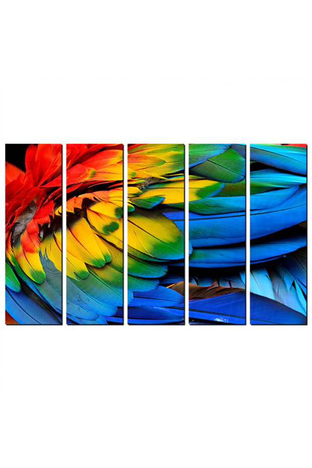 لوحه جداريه - ريش طائر ملونه - 1572 - مقسمه خمسة قطع متساويه - 1