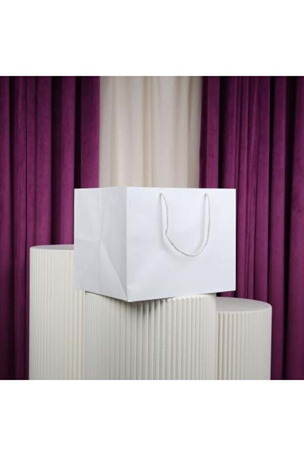 Large White Rectangular Bags