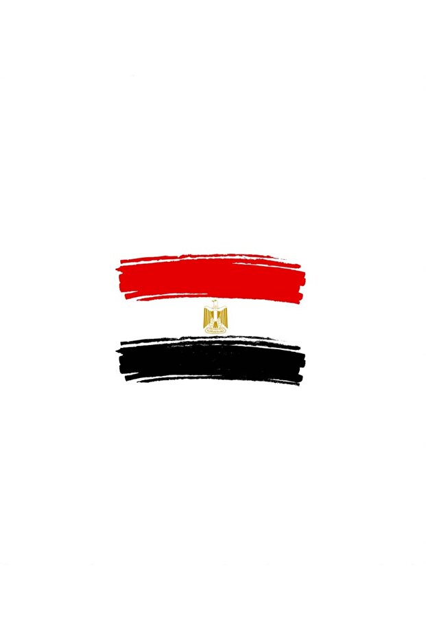 علم مصر المرسوم - 3