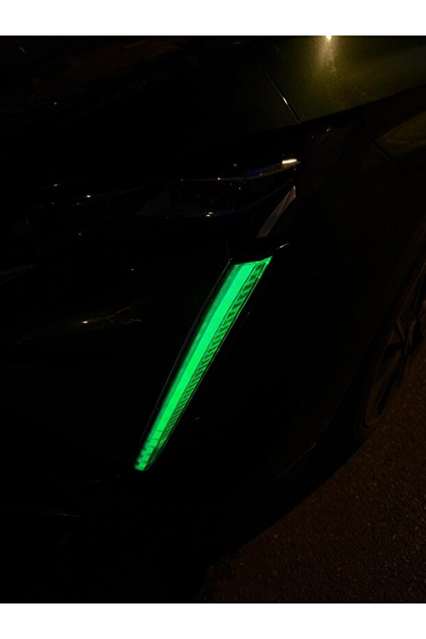 308 E FarSticker SetYeşil - 2