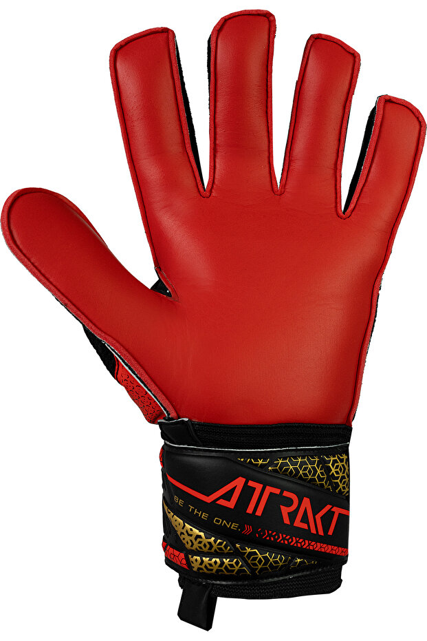 Attrakt Solid - 2