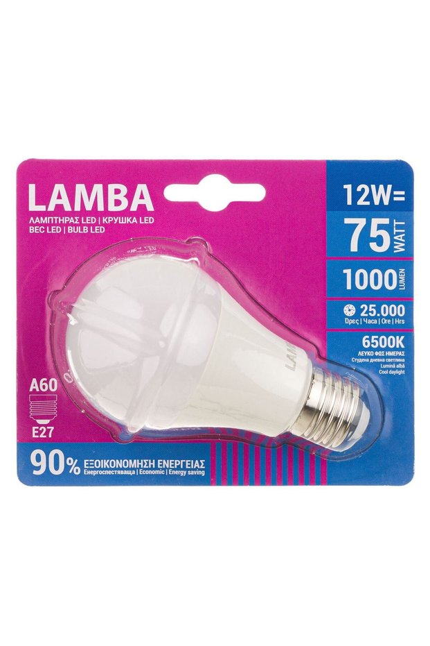 LED bulb E27 12W (A60) - White light