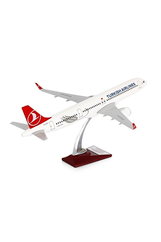 A 321 -1/100 LALE Model Uçak - 1