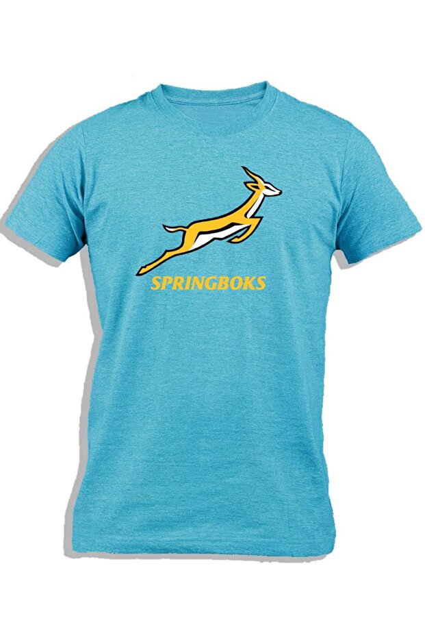 SPRINGBOKS - 1