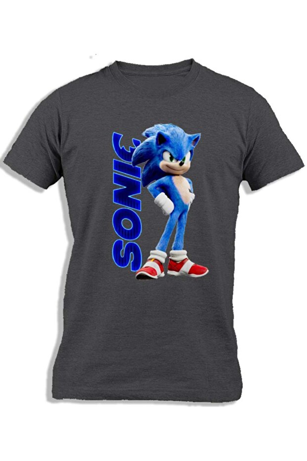 سونيك القنفذ - 1