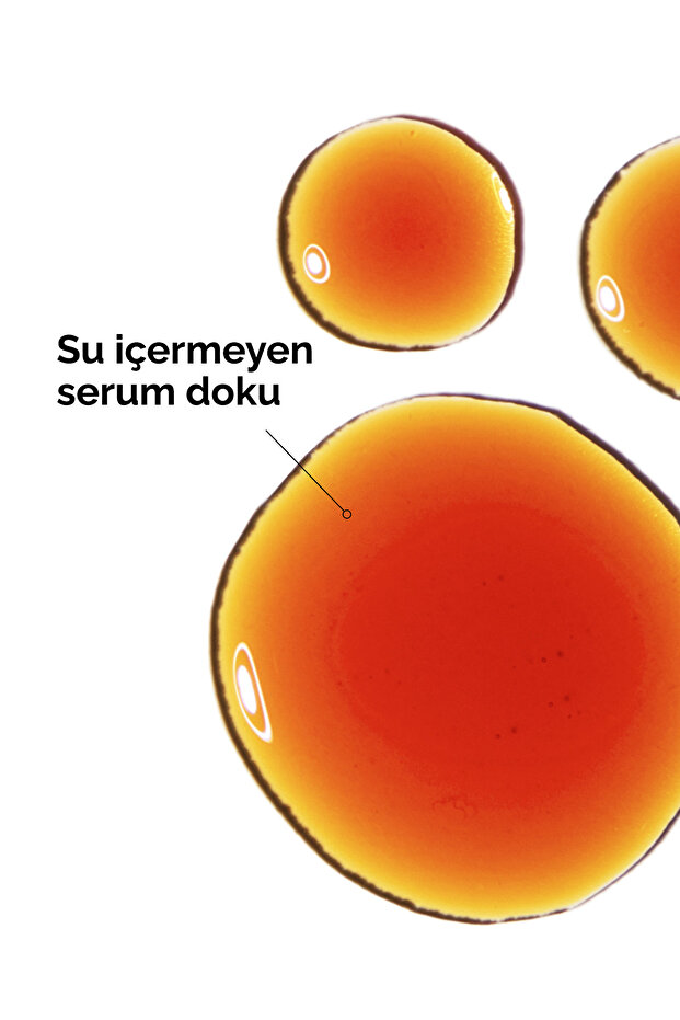 Pycnogenol 5% - Antioksidan Serum - 5