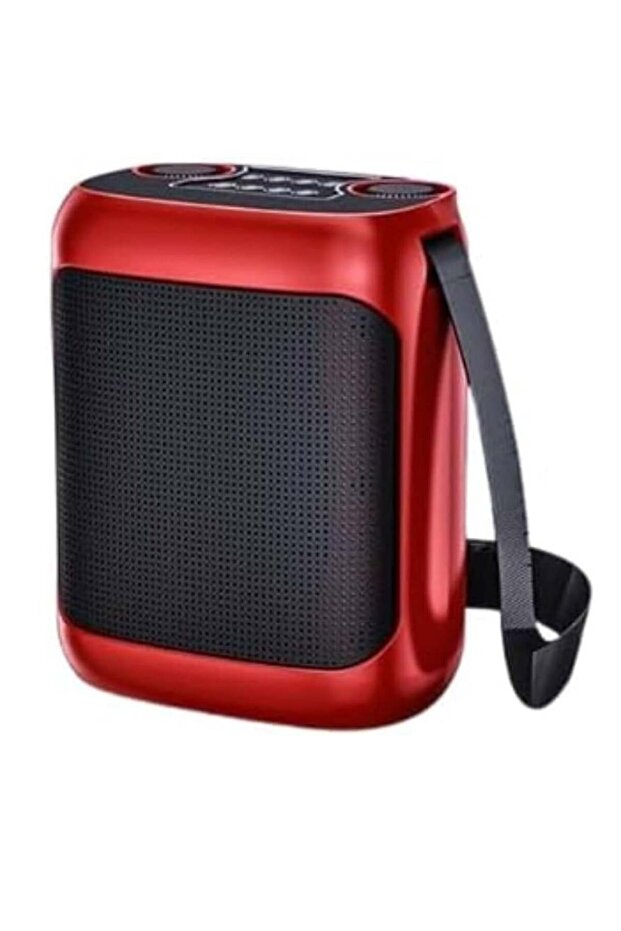 YS-220 Outdoor Karaoke Speaker Big Strap Speaker With Dual UHF Wireless Microphone