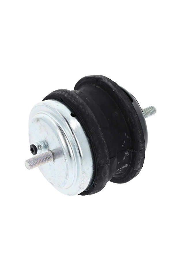 Bmw 5 Engine Mount - 1