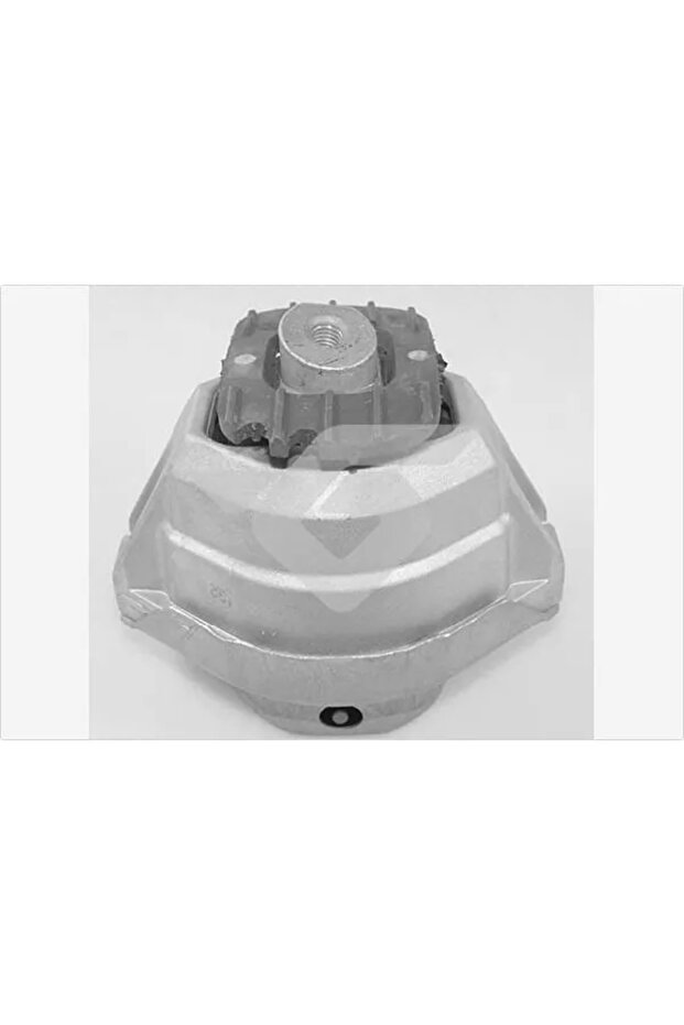 Bmw 5 Engine Mount - 1