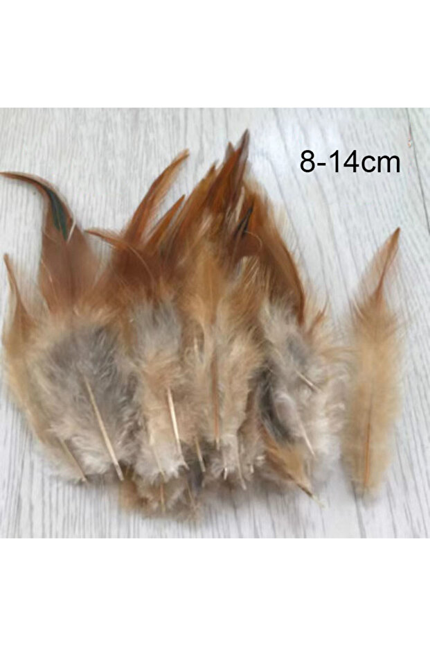 DHJ 8-14cm 50pcs Natural Pheasant Feather Crafts DIY Carnival Accessories Chicken Feathers Handicraf