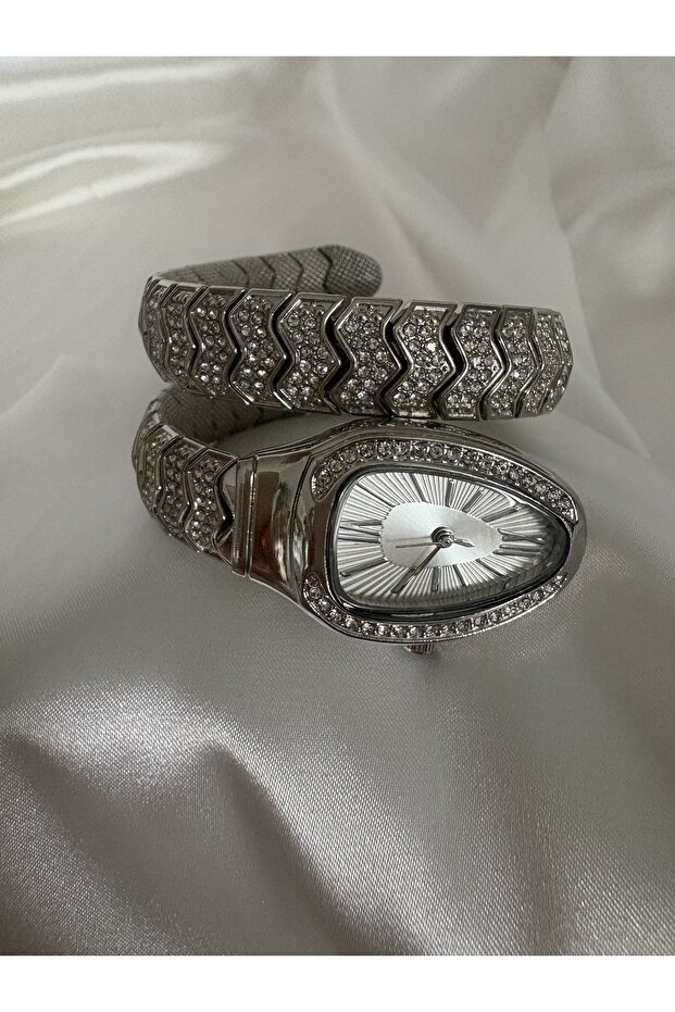 Yılan modeli saat - 1