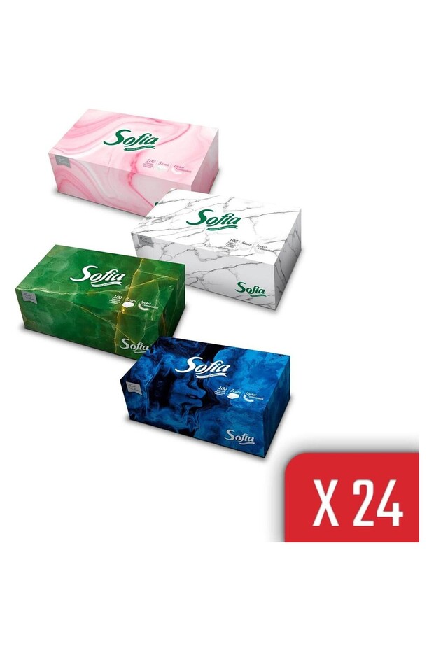 Kutu Mendil 100 Yaprak x 24 - 1