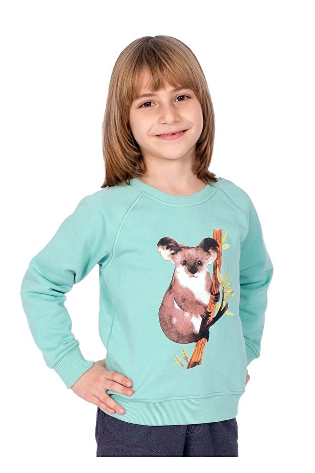 Organic Cotton Koala Printed Green Winter Boys' Sweatshirt