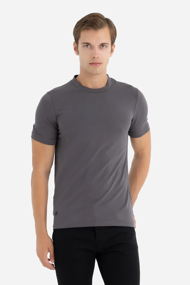 AL Erkek Gri Bisiklet Yaka Basic Tişört - 1