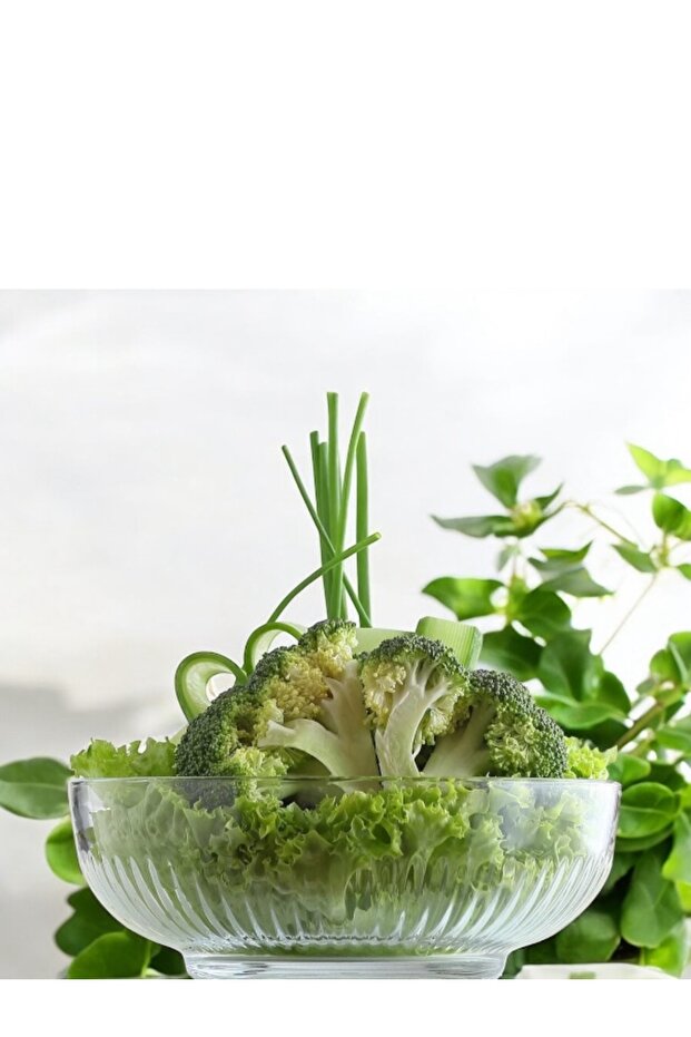 Tokyo Single Large Size Salad Bowl 1500Cc