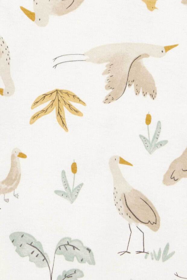 Bebek Ekru 3Lü Set - 4