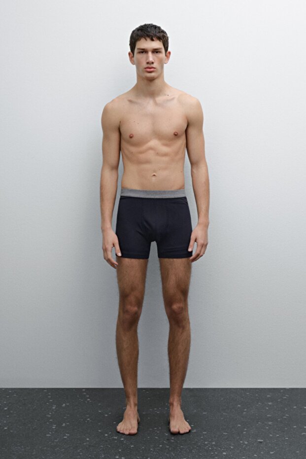 Gri bel bantlı boxer - 1