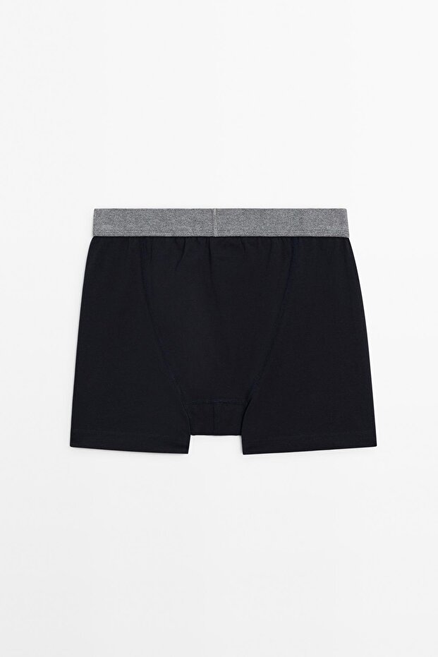 Gri bel bantlı boxer - 5