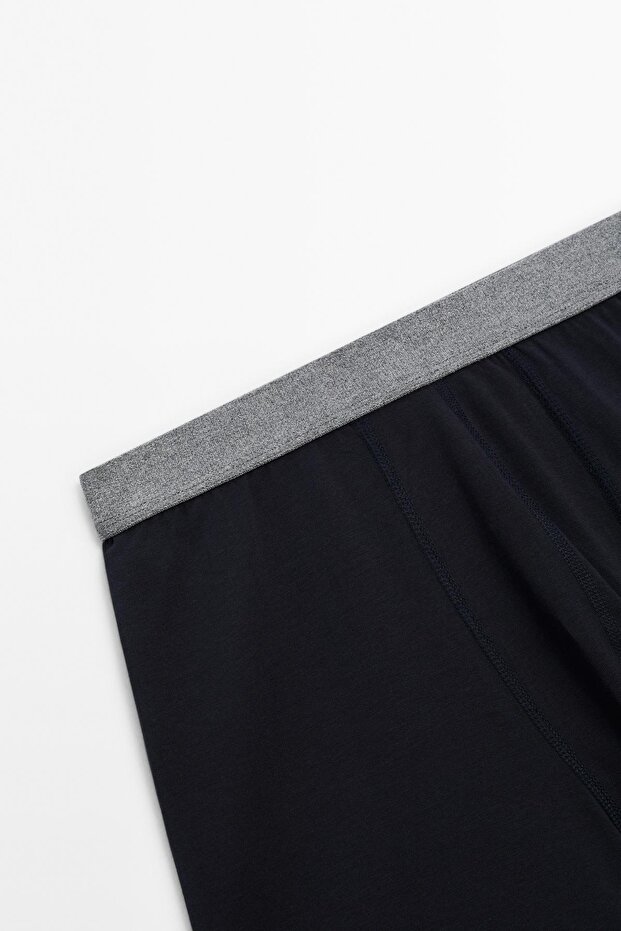 Gri bel bantlı boxer - 6