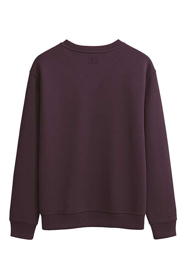 Regular Fit Basic Sweatshirt - 2