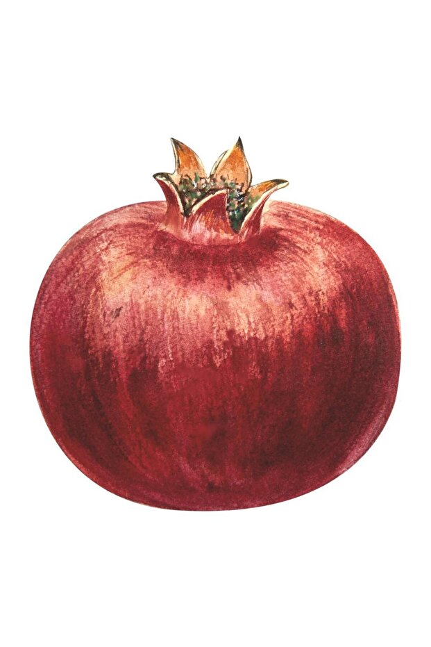 Supla Servis- 12195 - 1